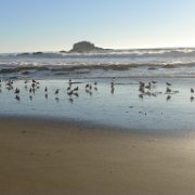 2014-01-17 PointReyesCamping 138 : 2014-01-17_PointReyesCamping